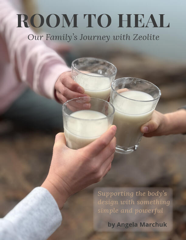 Raising Glasses – Detox Together Children raising glasses of homemade zeolite detox drink with lake in background.
