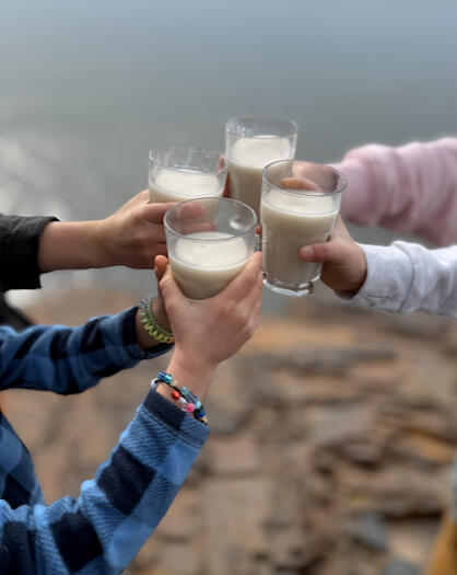 Raising Glasses – Detox Together Children raising glasses of homemade zeolite detox drink with lake in background.